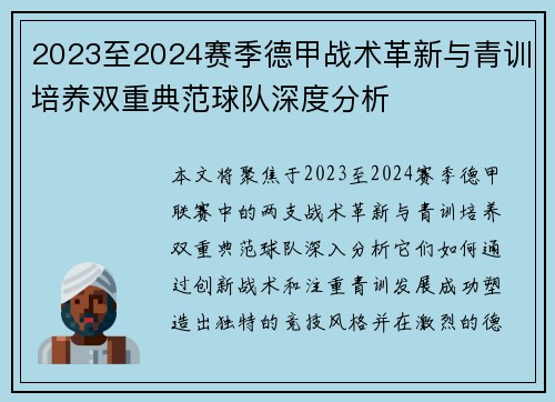 2023至2024赛季德甲战术革新与青训培养双重典范球队深度分析